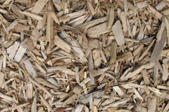 biomass boilers Barleythorpe